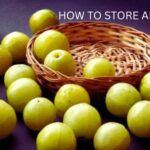 HOW TO STORE AMLA