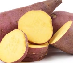 Sweetpotato